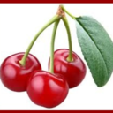 itsthecherries avatar