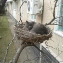 itsthepiscesmars avatar