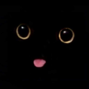 itstoni-blog1 avatar