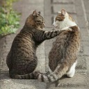 itsudemohitori avatar