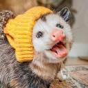 itsyourdstiny avatar