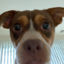 itsyourgirl-lin avatar