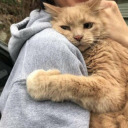 itsyourgirlemile avatar