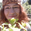 ittybittybulbasaur-blog avatar