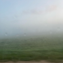 ittybittyspidet avatar