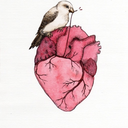 ituoiocchisonouncielostellato avatar