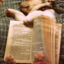 itzelteymennet avatar