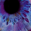 iubesc-porumbeii avatar