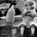 iucundisaureis avatar