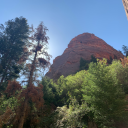 iunderstandbutdoyou avatar