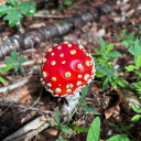 iusedtobeablog avatar