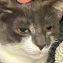 ivankov-save-me avatar