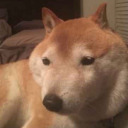 ive-lost-control-again avatar