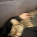 ivoirethedesigner avatar