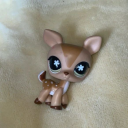 ivorydeer444 avatar