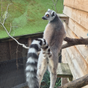 ivtheaxiomofequality avatar