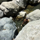 ivy-killa-blog avatar