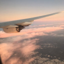 ivy-pendragon avatar