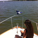 ivyleaves-blog-blog avatar