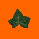 ivyliketheplantt avatar