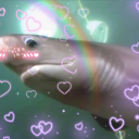 iwannabeasixgillshark avatar