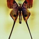 iwannabeyourslut69 avatar