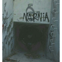 iwanttodiebitches avatar