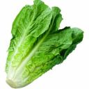 iwasalettuce avatar