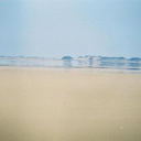 iwatchedyouchangeintoafly avatar