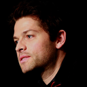 iwatchthebeeswithyou avatar