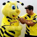 iwillalwaysblameitonthesun avatar