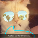 iwillbeyourrock avatar