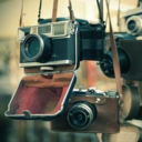 iwillreblogallthethings avatar