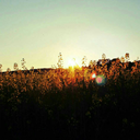 iwishicouldlovemyself avatar