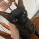 iwishtoeatrocks avatar