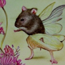 iwishuponmyself avatar