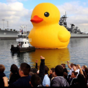 iwouldgivemysoultojace avatar