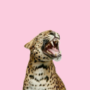 iyanasfantasies avatar