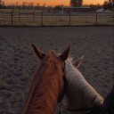 iyilestirilmemis1uh avatar