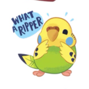 izaya737-blog avatar