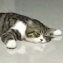 izeden-remade avatar