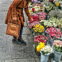 izmirindenizkopugu avatar