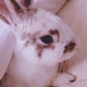 izukubun22891 avatar