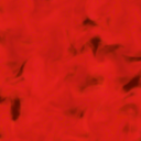 izzyapologist avatar