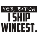 j2-sank-the-destiel-ship avatar