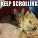 jabart7004-blog avatar