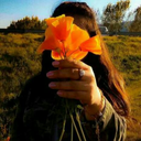 jabistoo-blog avatar