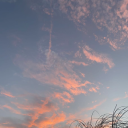 jaceherondalesmango avatar