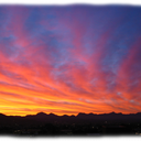 jack-wess-wolf avatar