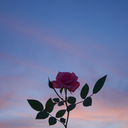 jackboyzjr-blog-blog avatar